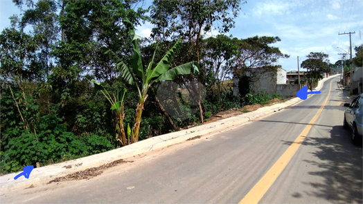 Foto REO1087291