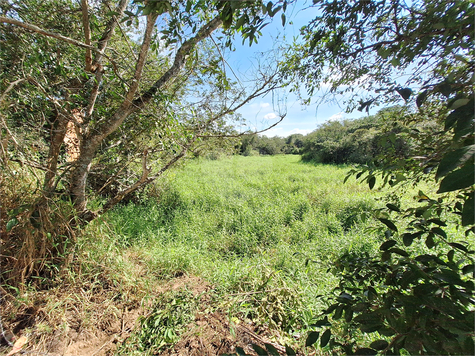 Foto REO1088416