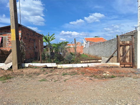 Foto REO1088544