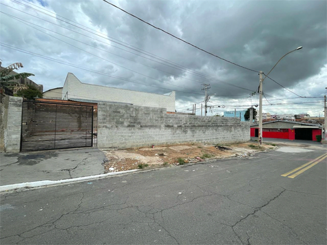 Foto REO1088547