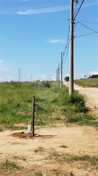 Foto REO1089257