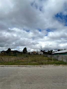 Foto REO1089701