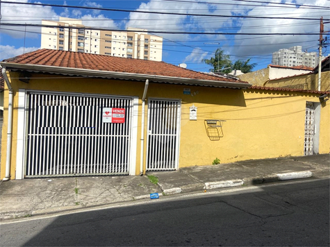 Foto REO1090317