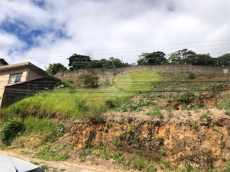 Foto REO1090969