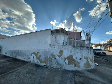 Foto REO1093982