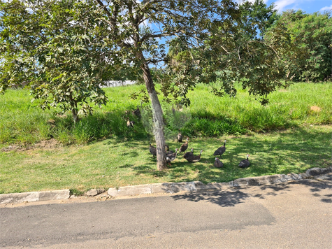 IBIRAPUERA
