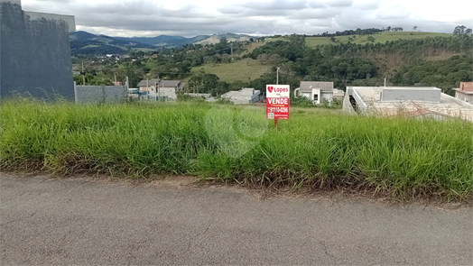 Foto REO1095515