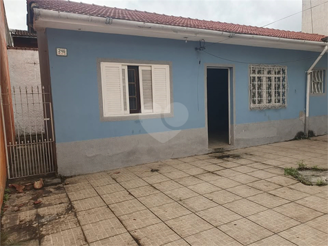 Foto REO1095669