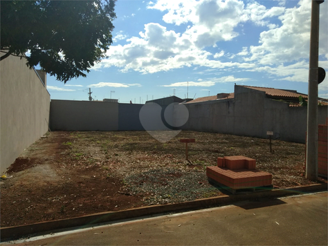 Foto REO1096314