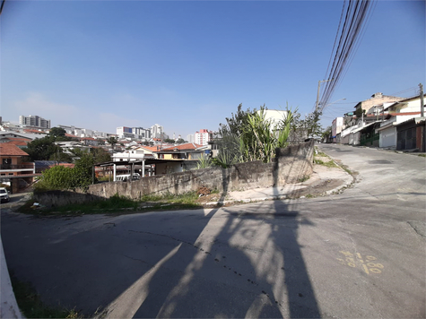 Foto REO1096651
