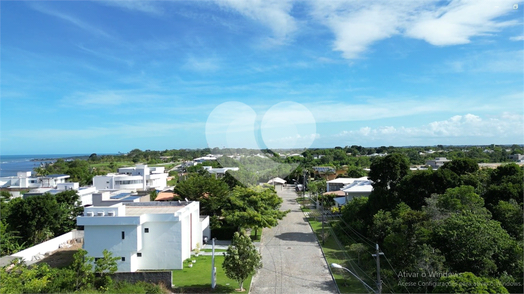 Foto REO1096728