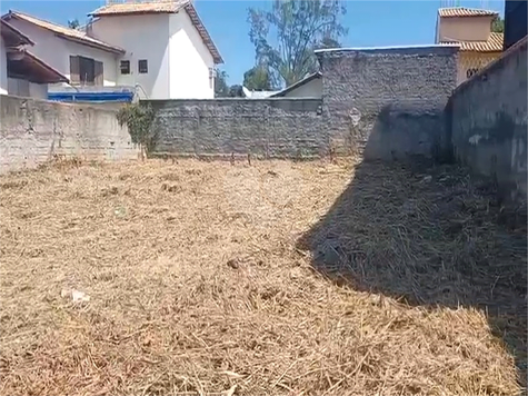 Foto REO1096994