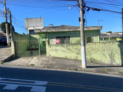Foto REO1097533
