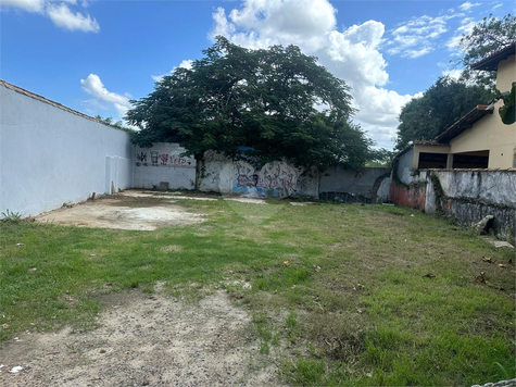 Foto REO1097765