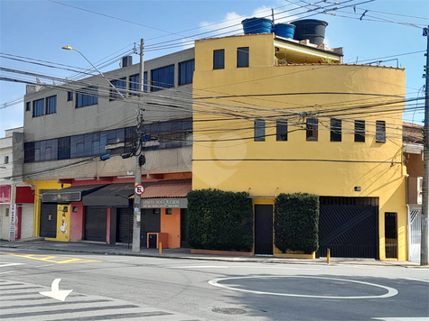 Foto REO1097771