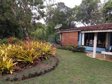 Foto REO1097859