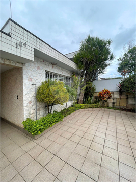 Foto REO1097976