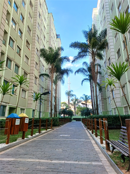 SANT INACIO