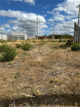 Foto REO1098687