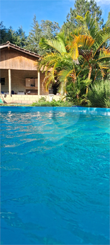 Foto REO1099446