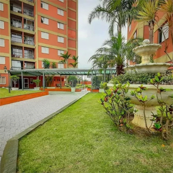 MONTE BELO