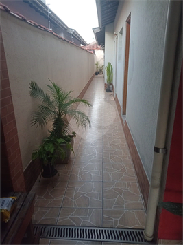 Foto REO1099860