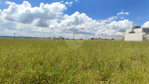 Vista Alegre