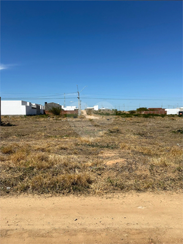 Foto REO1101034
