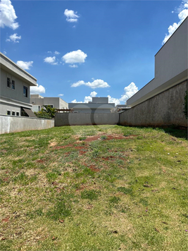Foto REO1101445