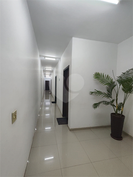 Foto REO1101552