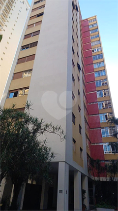 Aluguel Apartamento São Paulo Cerqueira César 1