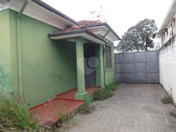 Foto REO151942