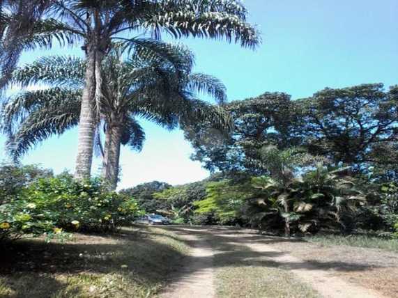 Venda Chácara Santo André Parque Rio Grande 1