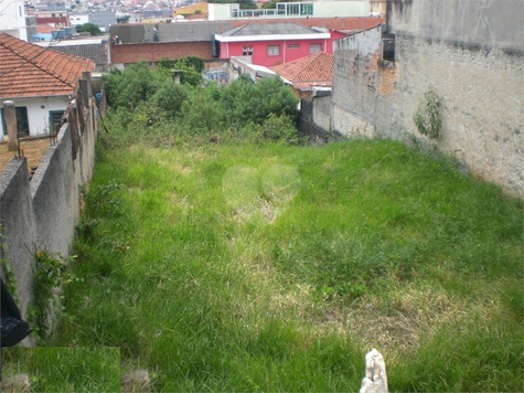 AVENIDA CASA VERDE,1356