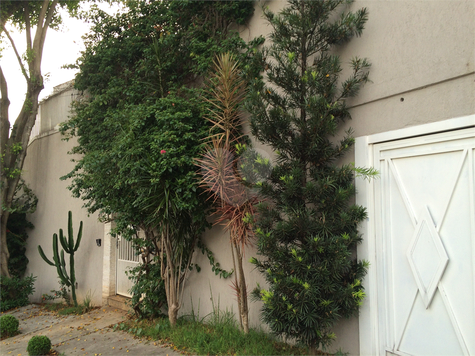 RUA DOUTOR ALCIDES PRESTES,306