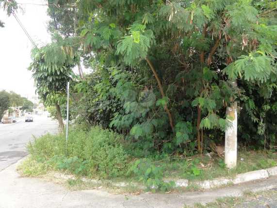 Venda Terreno São Paulo Jardim Franca 1