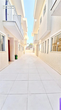 Afemar - Purus
