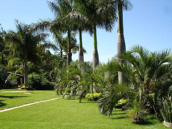 Venda Fazenda Atibaia Chácaras Maringá 1