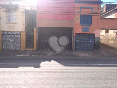 Foto REO211363