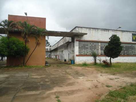 Foto REO215239