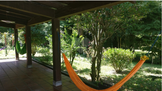 Foto REO216678