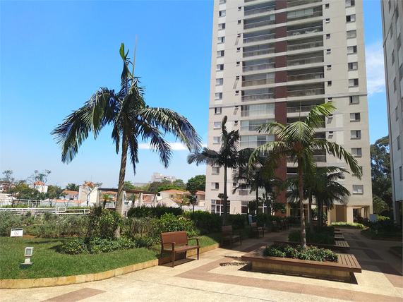 Venda Apartamento São Paulo Jardim Consórcio 1