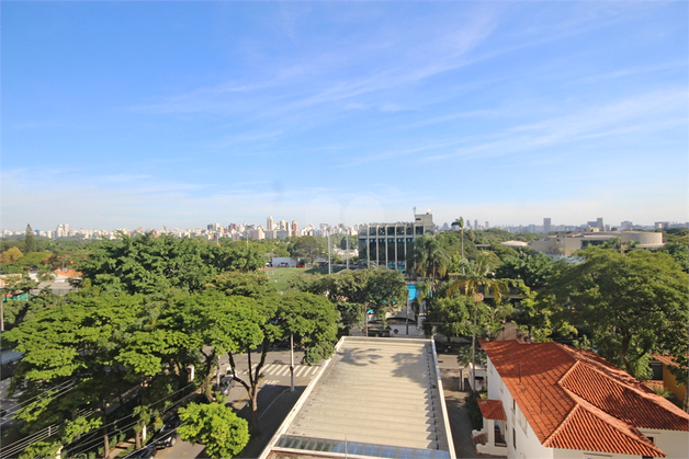 Aluguel Apartamento São Paulo Cerqueira César 1