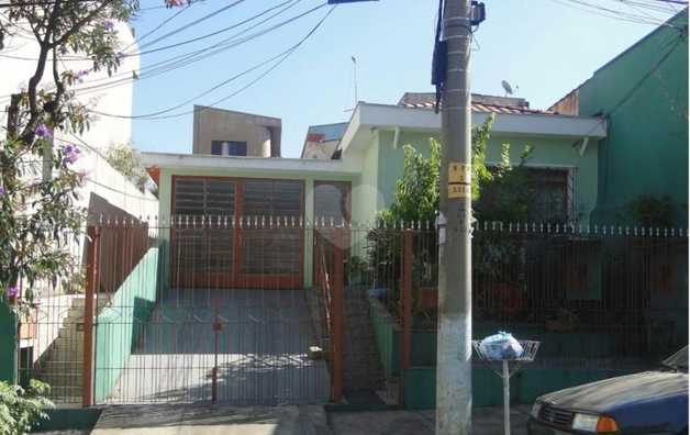 Foto REO248489