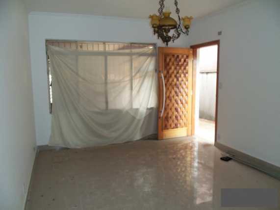 Foto REO249456