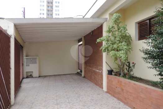 Foto REO260375