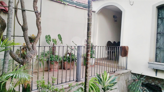 Foto REO266967