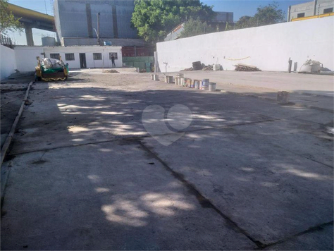 Foto REO302549