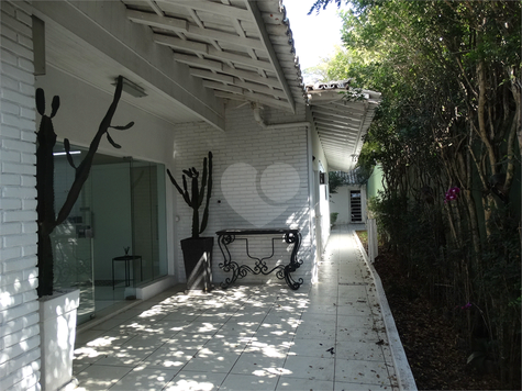 Foto REO306775