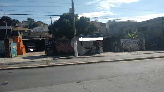 Foto REO313973